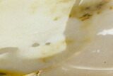 Polished Mookaite Jasper Slab - Australia #110280-1